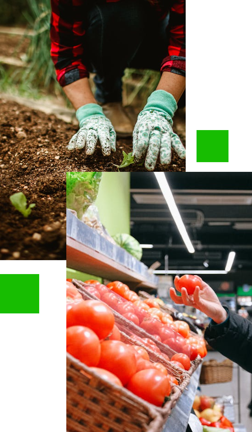 About Groagr Collage